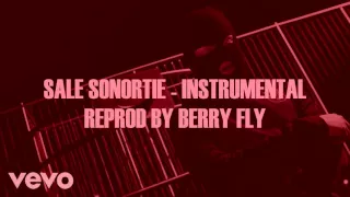 KALASH CRIMINEL - SALE SONORITE (INSTRUMENTAL BY TWANG TWANG)/REPROD BY BERRY FLY