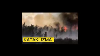 🔥🔥Лесной пожар в Чурапчинском Улусе, Якутия #катаклизмы #kataklizma #fire #disaster