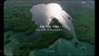 Kygo - Say You Will w/ Patrick Droney & Petey (Official Audio)