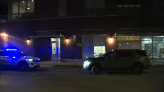 Woman ID'd by family after found shot dead in Chicago home with man