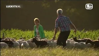 Boer Aad (Aad's softe kant) - Boer Zoekt Vrouw | LUCKYTV (2012)