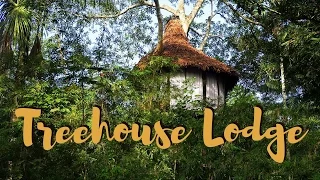 Amazon rainforest adventure travel in Peru at Jungle Treehouse Lodge