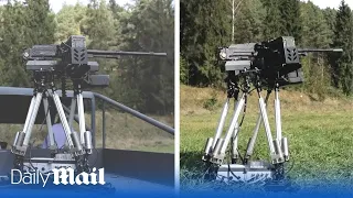 Ukraine unveils robotic guns controlled by artificial intelligence to target Russians