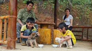 The journey of planting and caring for wet rice, The children's weekend vacation | Family Farm