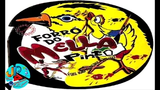 FORRÓ DO MELA PINTO CD ORIGINAL VOLUME 01 2008