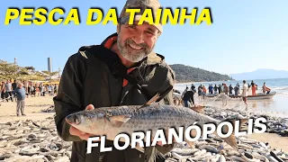 MULTIL FISHING IN FLORIANOPOLIS | T01 EP134