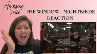 The Window by Jane Marczewski " NIGHTBIRDE" Reaction