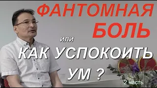 "Фантомная Боль или Как успокоить УМ?" 2 часть сатсанга в Челябинске