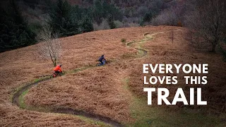 Cwmcarn is so Good For Mountain Biking!