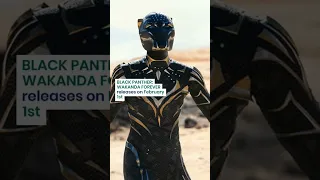 Black Panther: Wakanda Forever Disney Plus Release Date