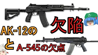 ゆっくり銃器解説#番外編13後編"AK-12の欠陥と垣間見る背景、A-545の欠点