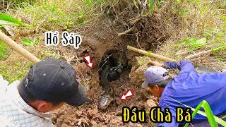 Đại Ka Còn Sót Lại Ở Khu Này |Hunting Catching TV