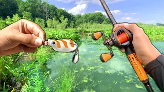 Eating Whatever I Catch.. (Catch and Cook) Swamp Fishing!