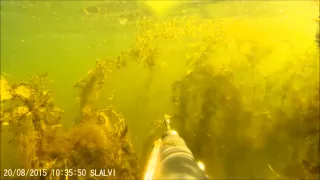 подводная охота волга 20 08 2015