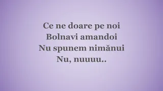 Bolnavi Amândoi - Irina Rimes (versuri)