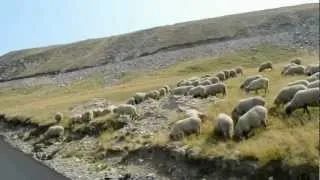 Driving through Transalpina