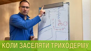 Коли починати вносити триходерму