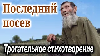 🔴 Трогательный стих - Е.Н.Пушков. "Последний посев" "ХРИСТИАНСКИЙ СТИХ!" "Стихотворение". | До слёз)