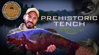 Big Tench From Big Pits | Daniel Woolcott | Specimen Tench Fishing