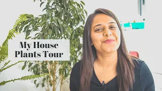 My House Plants Tour | Best Indoor Plants In India For Decoration | Plants For Beginners