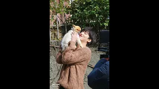 Lee Min-Ho 💕// cute video and picture edits 🔥💜 # Kdrama #Klover