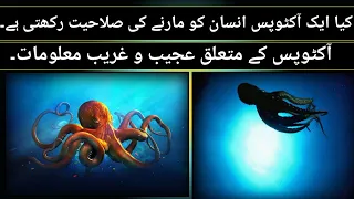 Amazing And Weird Information About Octopus|Interesting Facts|. Hindi/Urdu