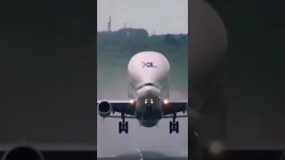 Esse avião transporta gargas enormes《BELUGA XL》até mesmo avião! 😱