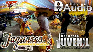 Comparsa Jaguares 2023 "Como te voy a olvidar mami" Orquesta Juvenil del Maestro Nicho Castillo