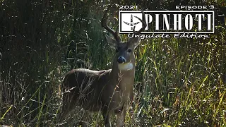 OLD BUCKS in BOW RANGE | HUNTING OKLAHOMA'S RUT | WILL I REGRET THAT? - Ungulate 2021