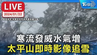 【LIVE】寒流發威水氣增!太平山即時影像線上追雪