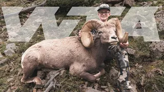 Once-In-A-Lifetime Bighorn Sheep Tag | Worldwide Trophy Adventures