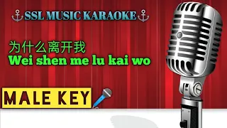 为什么离开我~ wei shen me lu kai wo 🎼🎵🎧 Karaoke (Male)