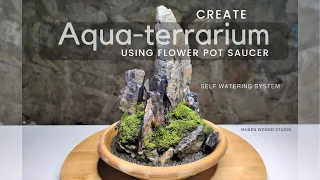 diy terrarium with flower pot saucer