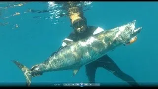 אורי בינסטד דייג בצלילה חופשית - Spearfishing Spanish Mackerel Uri Binsted