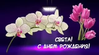 Поздравление Свете