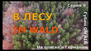 На вписке в Германии. Серия 9. В лесу