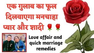 एक गुलाब का फूल दिलवाएगा मनचाहा प्यार और शादी 🌹🌹 | Love affair and quick marriage remedies
