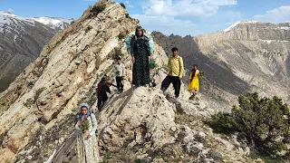 A village family crosses the rough mountains to pick edible plants