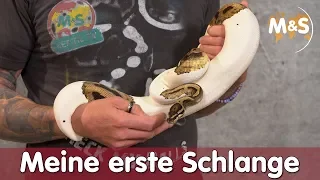 Meine erste Schlange? | Welches Tier passt zu mir? | Reptil TV