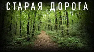 ФАРТОВЫЙ КОП по старой лесной дороге. НАХОДКИ  МЕТАЛЛОИСКАТЕЛЕМ XP ПОИСК МОНЕТ C МД ORX