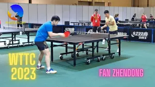 Fan Zhendong training 2023 | WTTC Durban 2023