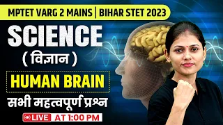 MPTET Varg 2 Chayan Pariksha | Bihar STET 2023 Science | Human Brain | Sarika Ma'am