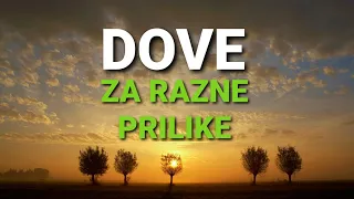 DOVE