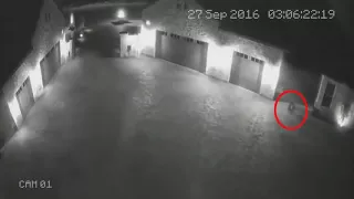 Gnome Caught On Video