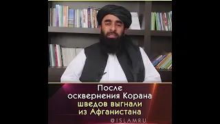 После осквернения Корана шведов выгнали из Афганистана