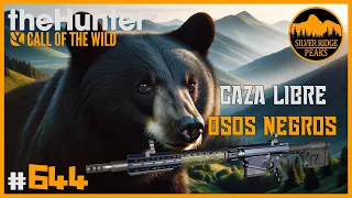 CAZA SELECTIVA DE OSOS NEGROS - ADAPTANDO AL OSO AL NUEVO HORARIO | 🦌theHunter: CotW #644