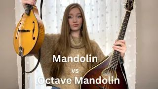 OCTAVE MANDOLIN VS MANDOLIN | How are they different? How are they similar?