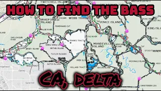 Everything you need to know about bass fishing the CA, DELTA Part 1- Breaking Down the River!