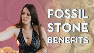 Fossil Stone Benefits | 5 Fossils for Crystal Healing