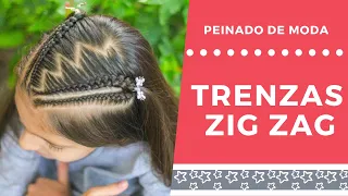 🔴 Peinados Fáciles Paso a Paso / Tutorial TRENZAS en zig zag /WILVITA 2019❤